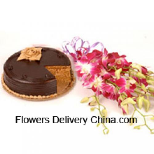 Orchide rosa con deliziosa torta al cioccolato da 1/2 kg