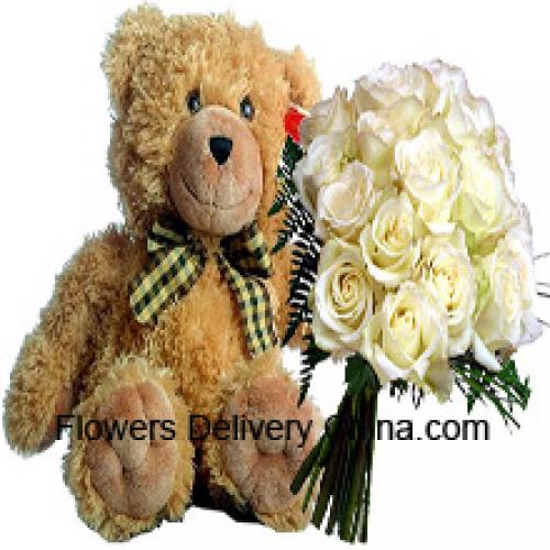 18 Weiße Rosen mit 14 Zoll Teddy