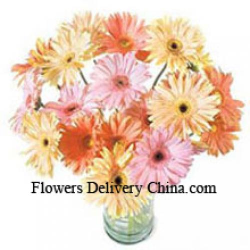 24 Gekleurde Gerbera's Assortiment