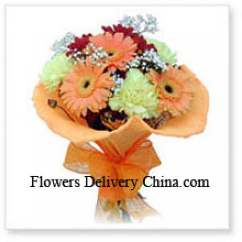 10 Assorted Cute Gerberas