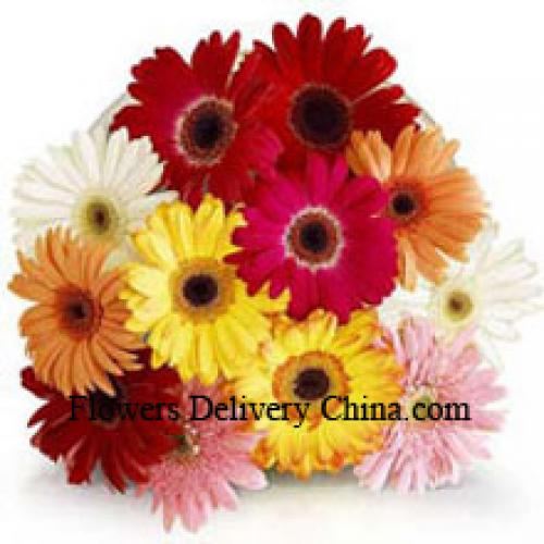 12 Assorted Gerbera's met Vullers