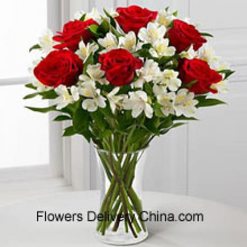 6 Rose Rosse Eleganti